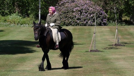 الملكة إليزابيث تمتطي حصانها المفضل لأول مرة منذ كورونا