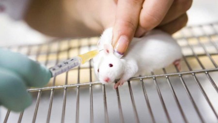 علماء أمريكيون: لقاح محتمل لكوفيد-19 يحقق نتائج مبشرة في دراسة على الفئران