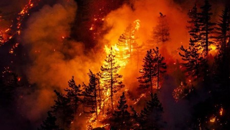 دخان حرائق الغابات الأمريكية يصل أوروبا