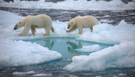 دراسة بريطانية: الكتلة الجليدية بالقطب الشمالي تذوب أسرع بمرتين مما يعتقد