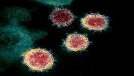 المخابرات الأمريكية: لم يصنع فيروس كورونا كسلاح بيولوجي