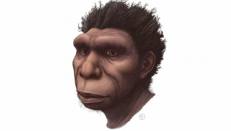 العثور على جمجمة بشرية تعود إلى سلالة جديدة عاشت منذ نصف مليون سنة