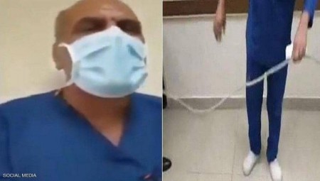 توقيف طبيب مصري أمر ممرضا بالسجود لكلبه