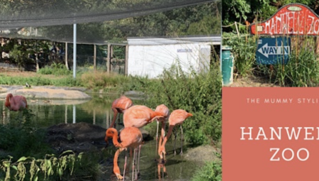 فيديو: حديقة هانويل Hanwell Zoo في لندن... ألعاب وأنشطة متعددة
