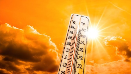 المملكة المتحدة تتأثر بأسوأ موجة حر منذ 40 عاما