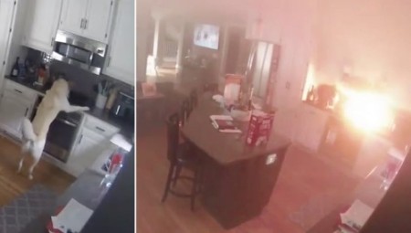 كلب لعائلة أمريكية يتسبب في حريق هائل في المنزل بعد تشغيله الموقد