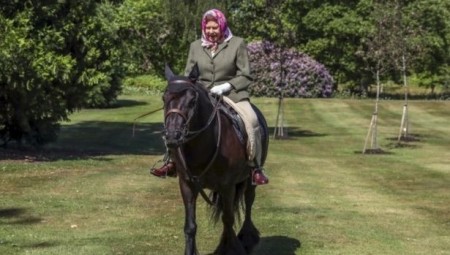 ملكة بريطانيا تعود لركوب حصانها بعد تسعة أشهر من منعها عن ذلك