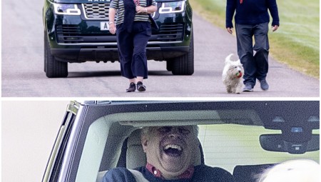 بالصور: موقف طريف.. الأمير أندرو يعلق بسيارته خلف سيدة ورجل يتنزهان مع كلبهما