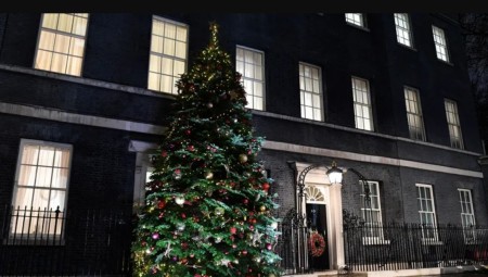 متجر لندني يؤجر أشجار الميلاد .. صاحبه يحكي قصته