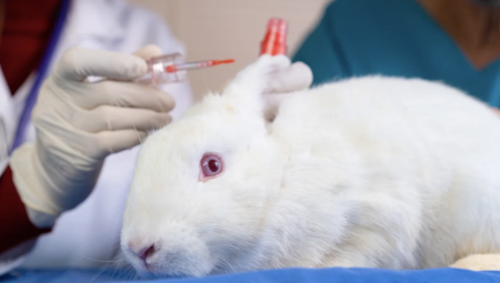 الحكومة الكندية تحظر رسميا اختبار مستحضرات التجميل على الحيوانات