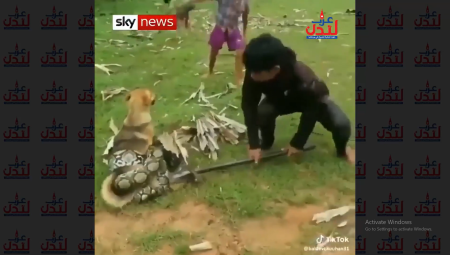 مذهل أطفال ينقذون كلبا من أحضان ثعبان… شاهد