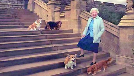 الملكة إليزابيث الثانية رفقة كلابها في معرض للصور يفتتح الأربعاء بلندن