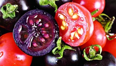 وزارة الزراعة الأمريكية توافق على طماطم معدلة وراثياً لمقاومتها السرطان