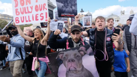 شاهد: مالكو كلاب XL Bully في بريطانيا يتظاهرون ضد خطط سوناك لحظر سلالات كلابهم