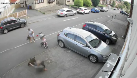 شاهد: بريطانية تتعرض لهجوم كلب شرس أثناء جرها عربة ابنتها الرضيعة