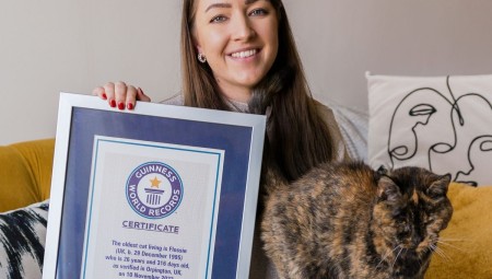 لندن: فلوسي حطمت الرقم القياسي كأكبر قطة معمرة في العالم