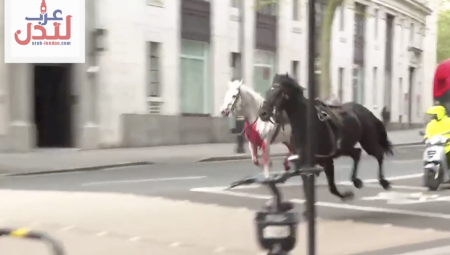 شاهد: خيول من سلاح الفرسان هاربة في لندن