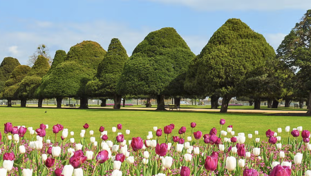 لعشّاق الحدائق: تعرّف على أفضل 9 حدائق في لندن