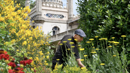 رغم الأضرار الصحية والبيئية: نصف المجالس البريطانية تستخدم المبيدات في الأماكن العامة