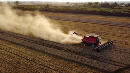 بريطانيا تواجه خامس أسوأ حصاد منذ بدء التسجيل بسبب الجفاف