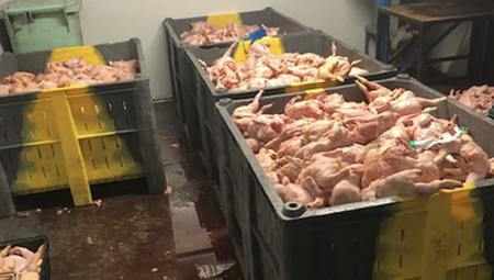 السجن لرجلين في لندن بسبب بيع لحوم غير صالحة للاستهلاك البشري