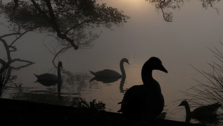 عشرات البجع النافق في لندن يثير مخاوف تفشّي إنفلونزا الطيور