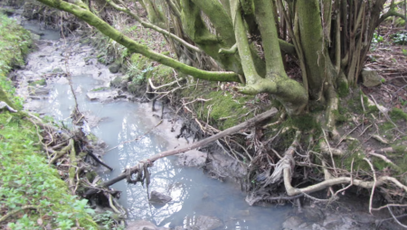 غرامة تزيد على 700 ألف جنيه إسترليني لشركة يوركشاير ووتر بسبب التلوث المتكرر لمجرى مائي