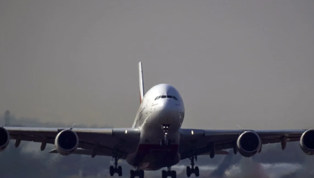 وزارة الدفاع تحذر من مخاطر اصطدام الطيور مع توسعة مطار هيثرو